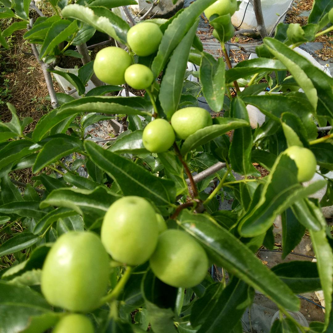 董☞余生有你☜