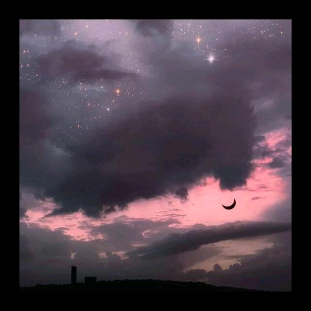 夕阳QAQ