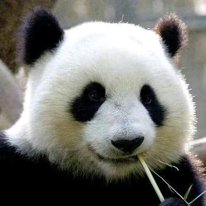 味宗寻
