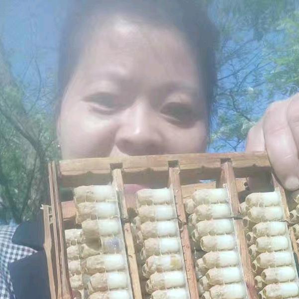 果果黄龙岘养蜂人