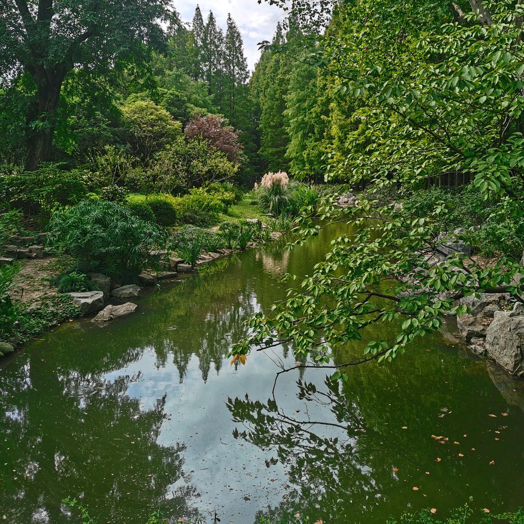 冬眠的太阳☀️