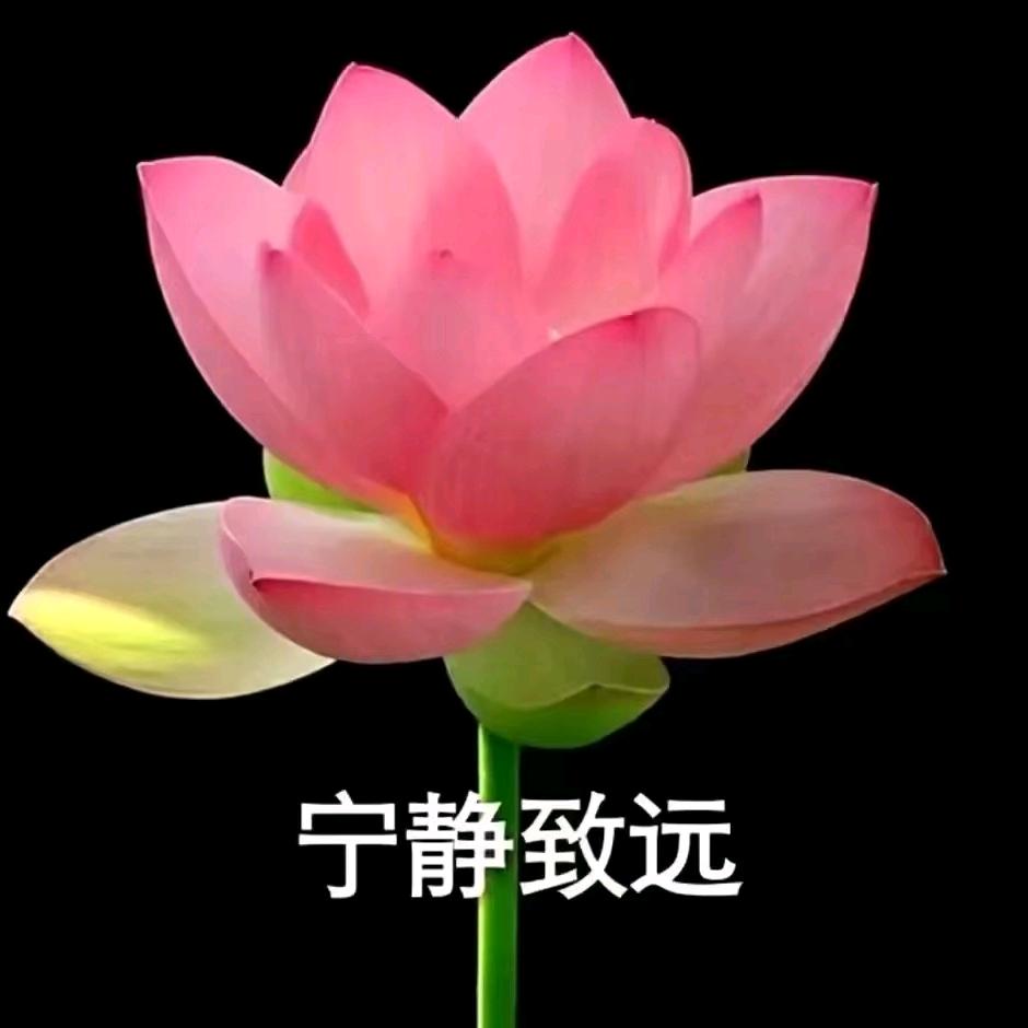 用用用丨用手机