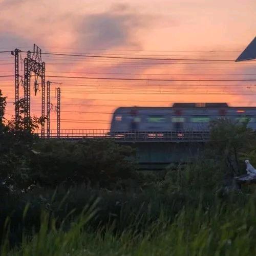 柚子吖