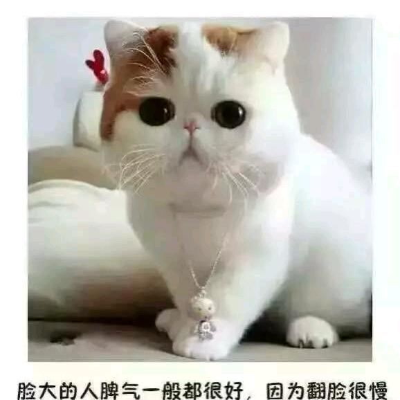 前行！潜行！