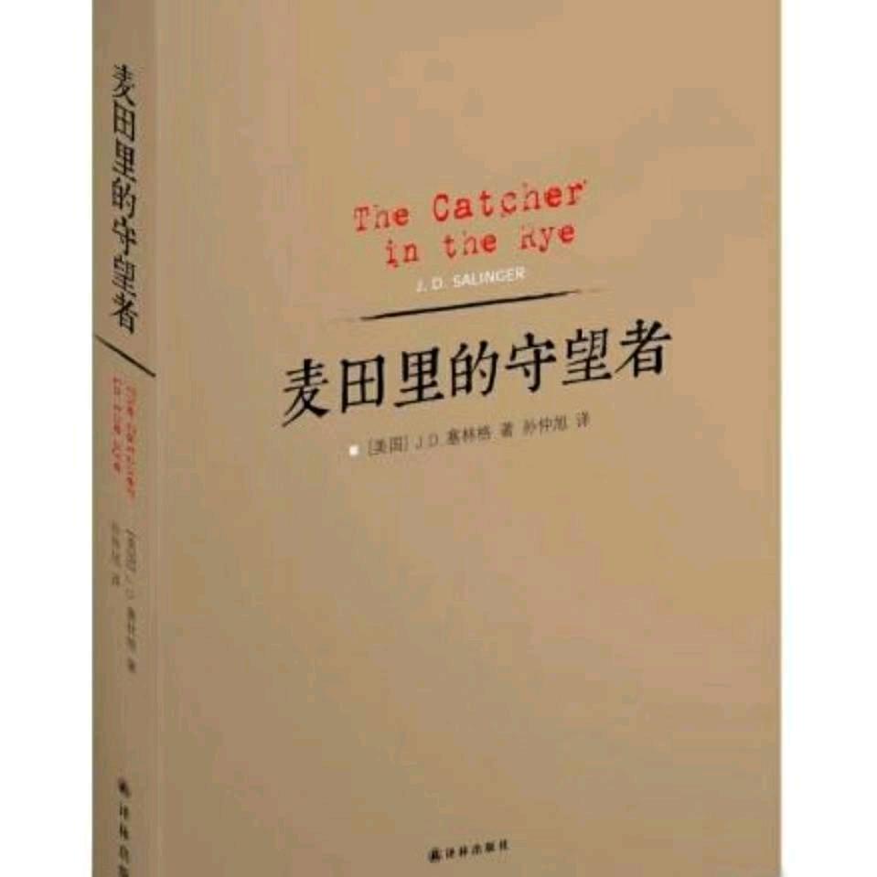 麦田里的守望者🪄