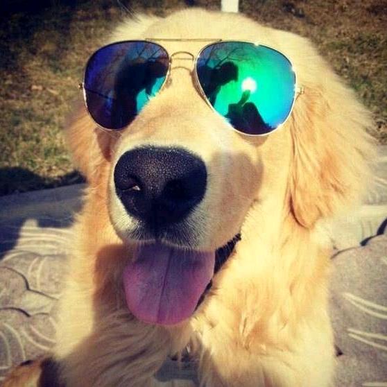 小林（抖音号）