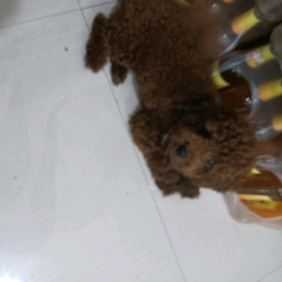 海纳百川有容乃大