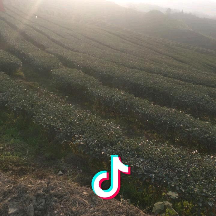 一往而深……！