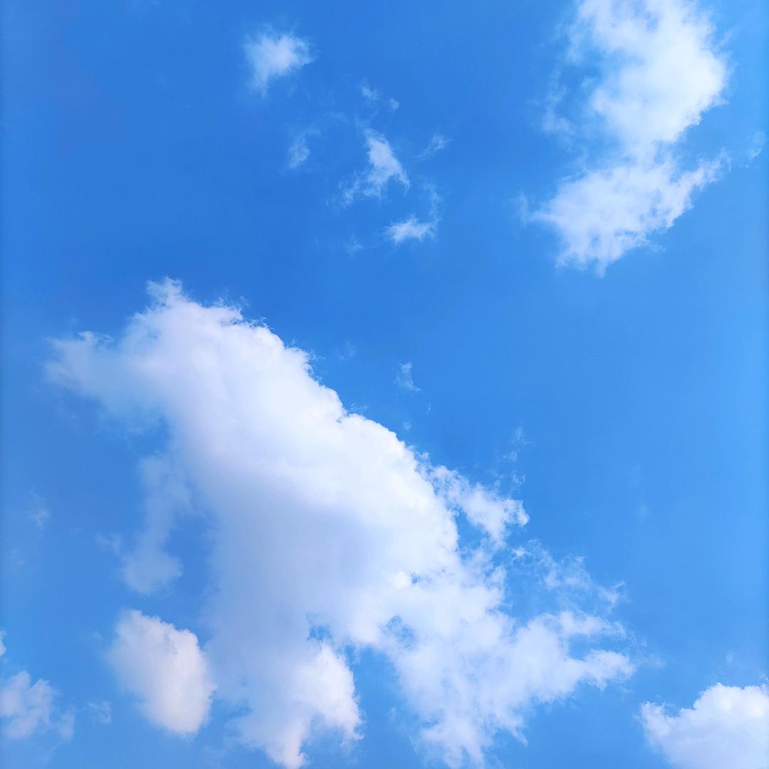 风中沙