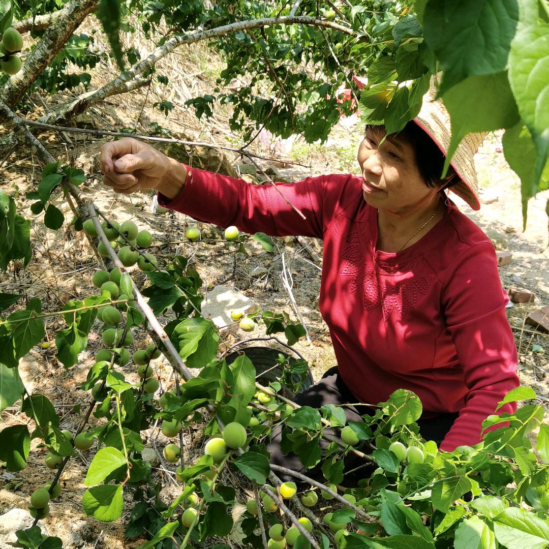 彭宪仁（bi7mhq）