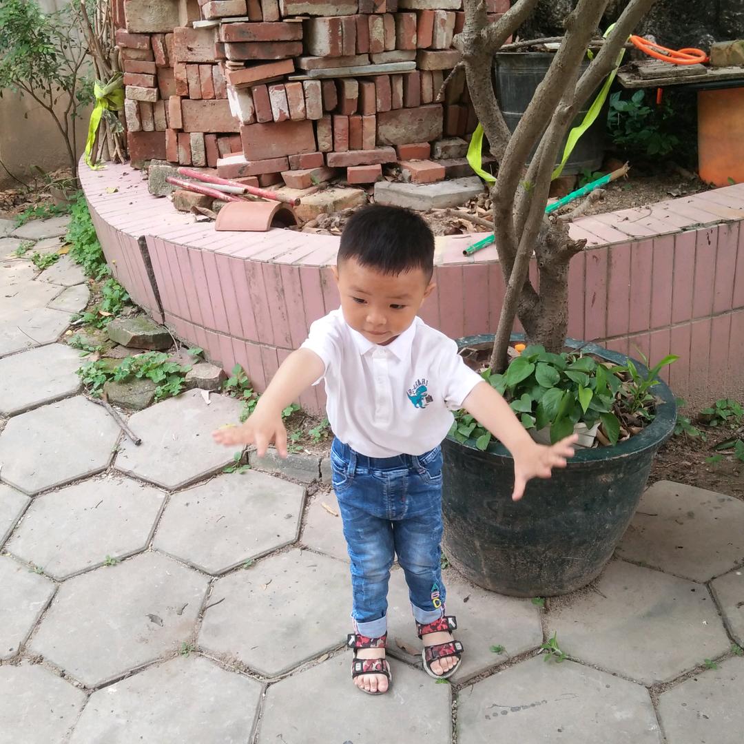 小鹏哥