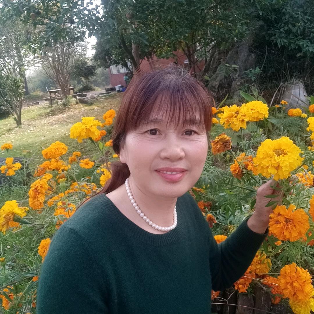 叶子