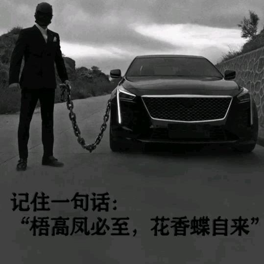 辽M玉米达达