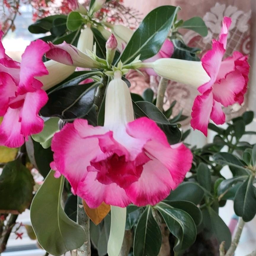 用户2588763219345秀儿