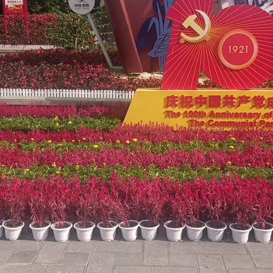 艰苦奋斗