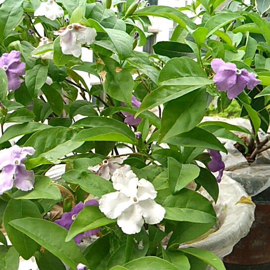 美的阳光专业木门铝门安装