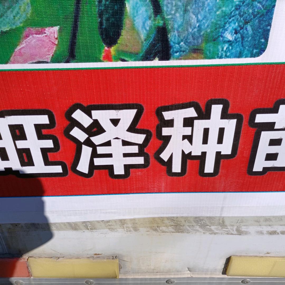 寿光旺译种苗