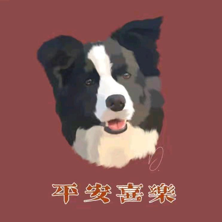 旺财崽崽