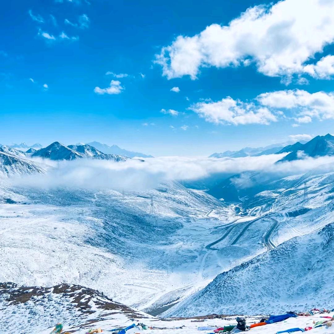 奈雪的楂