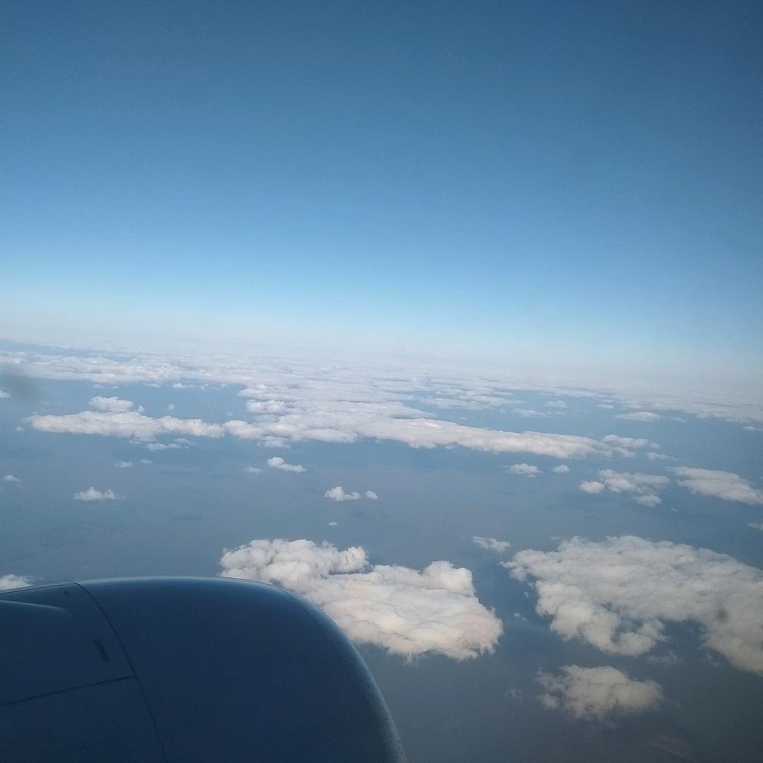 恋