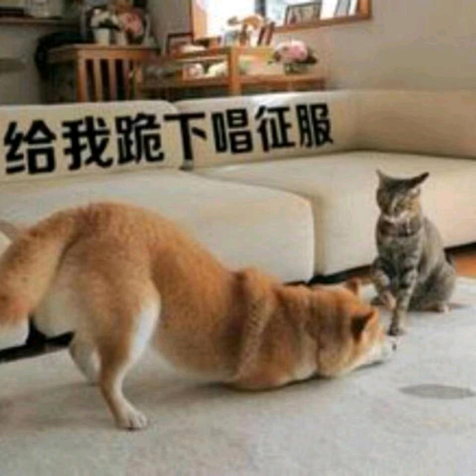 金邝媛