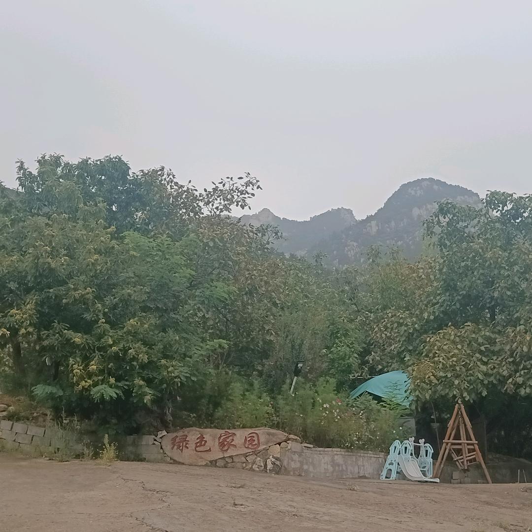 三哥三哥