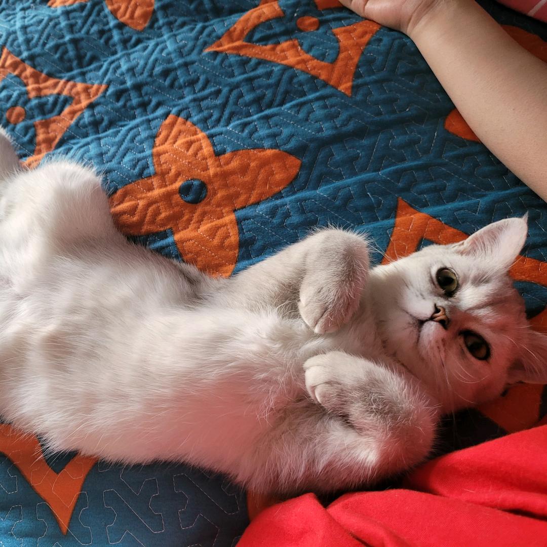 吕顺