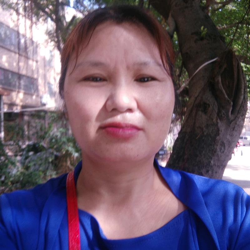 菊儿
