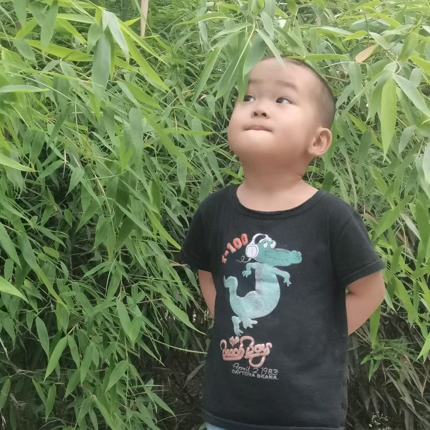 爱孤独的我
