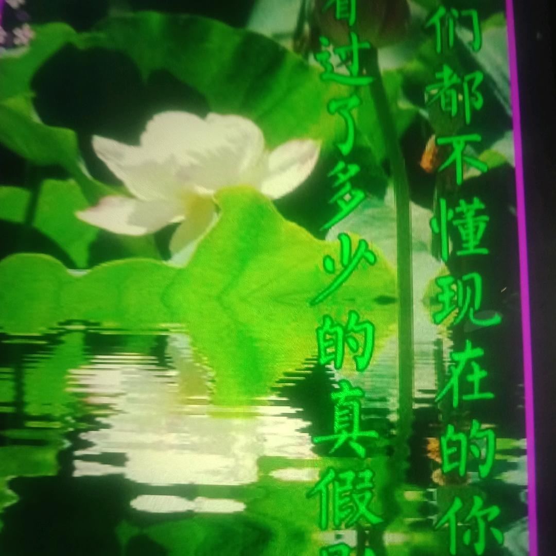 等待缘分