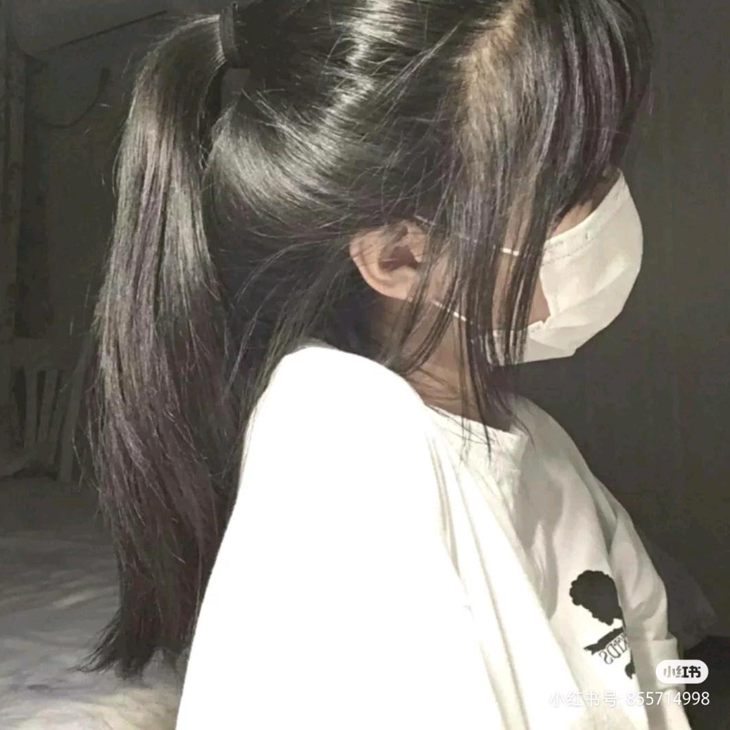 流浪的闲猫