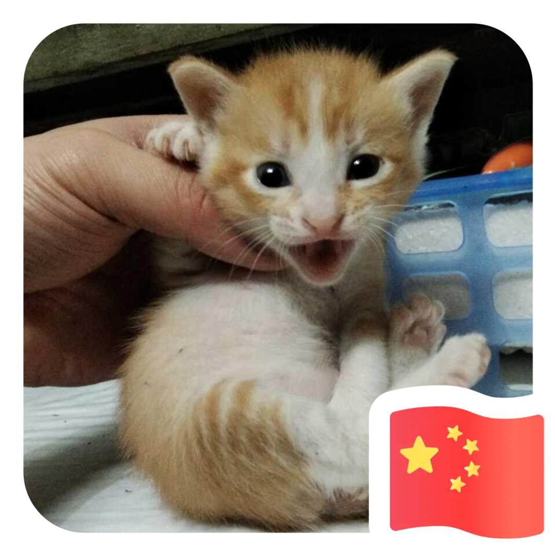 梁三