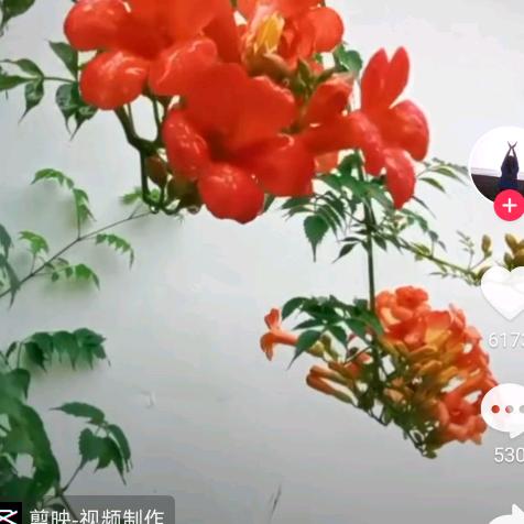 微笑