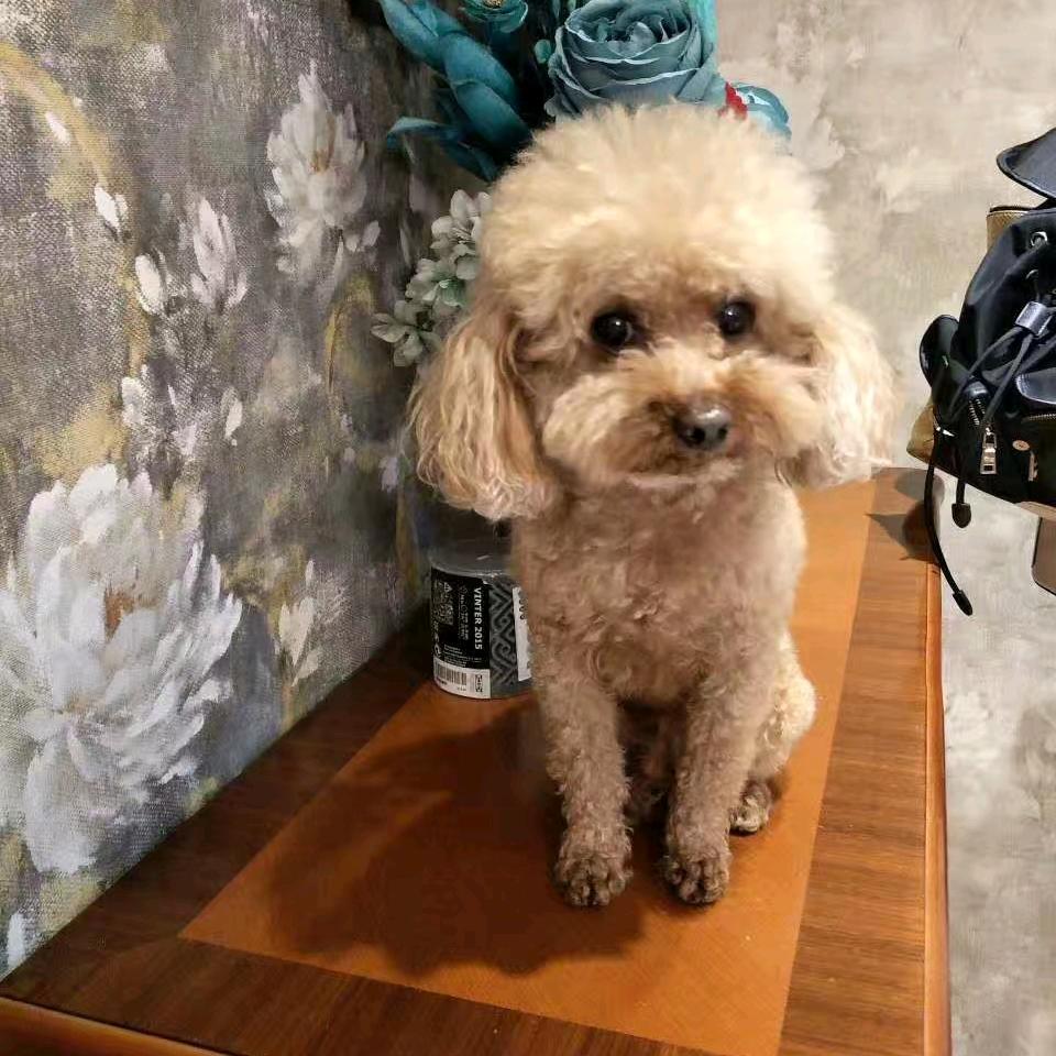 昱佑福孙，爱爱