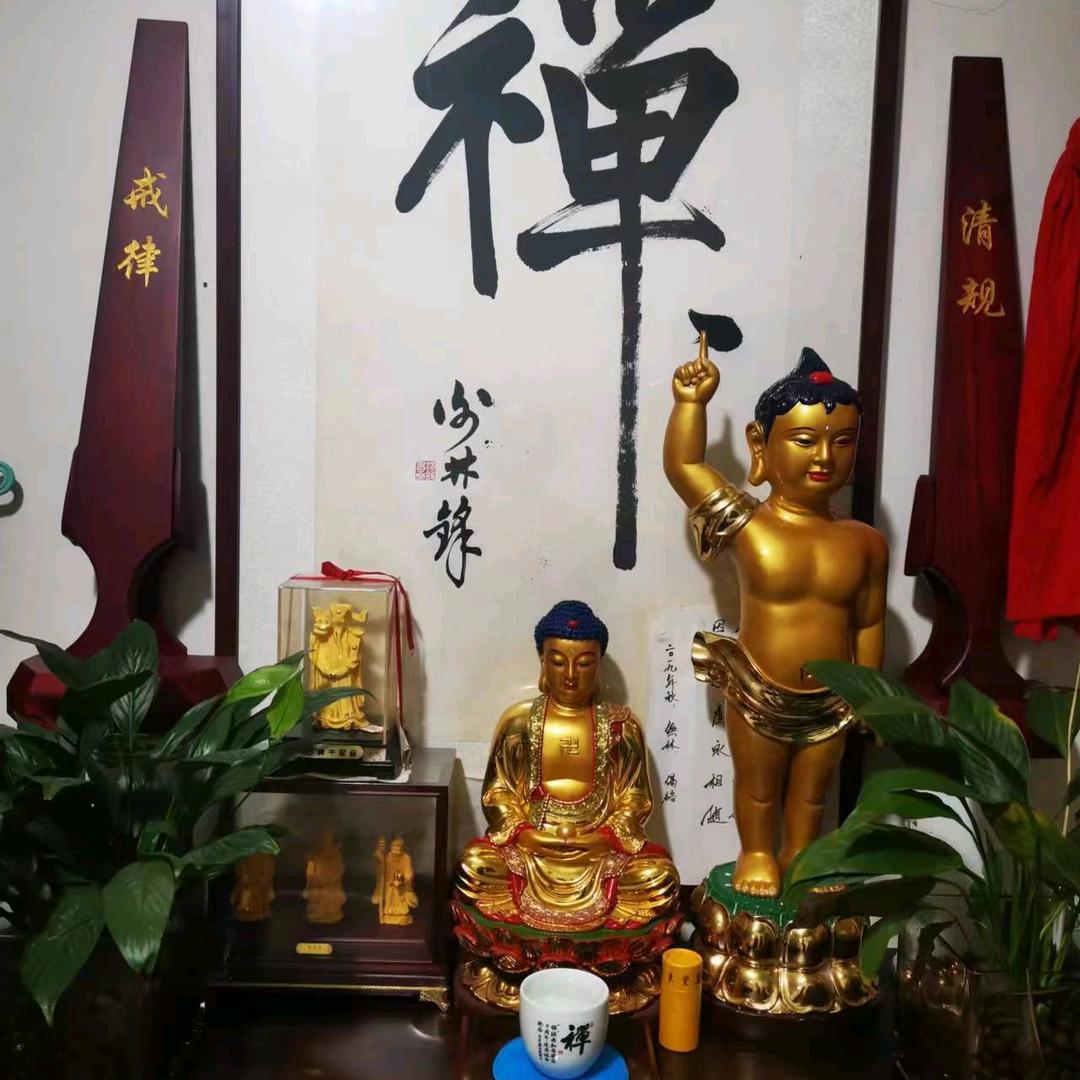 大道～无林