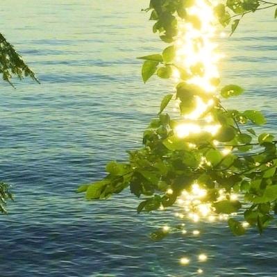 绿洲农家院官方号