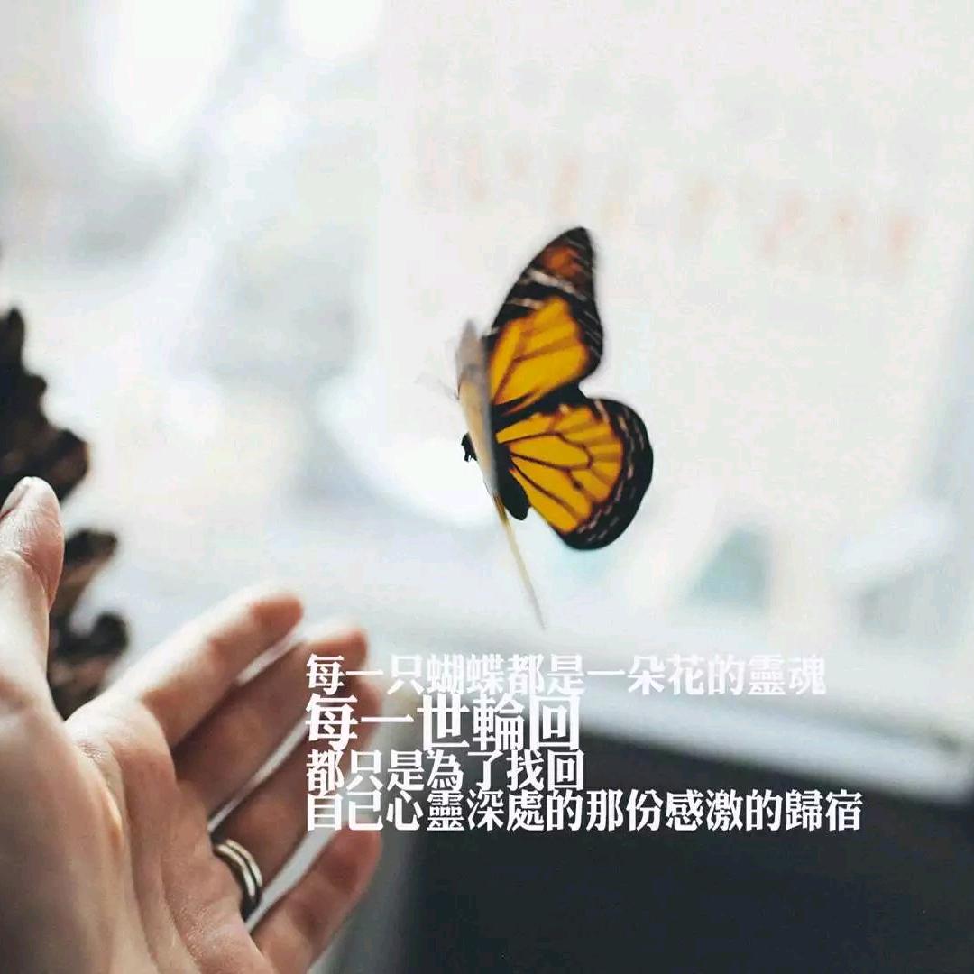 口十王木木