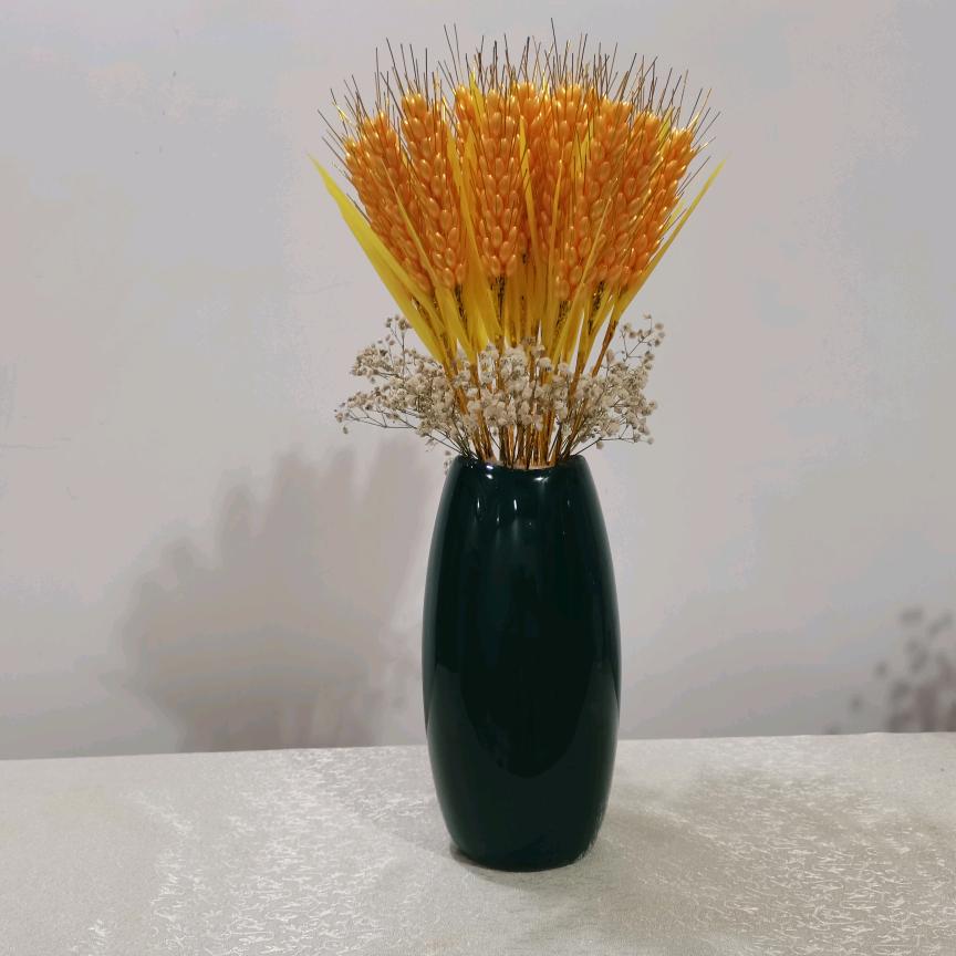绚丽多彩