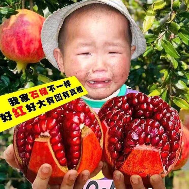 大头家鲜果园
