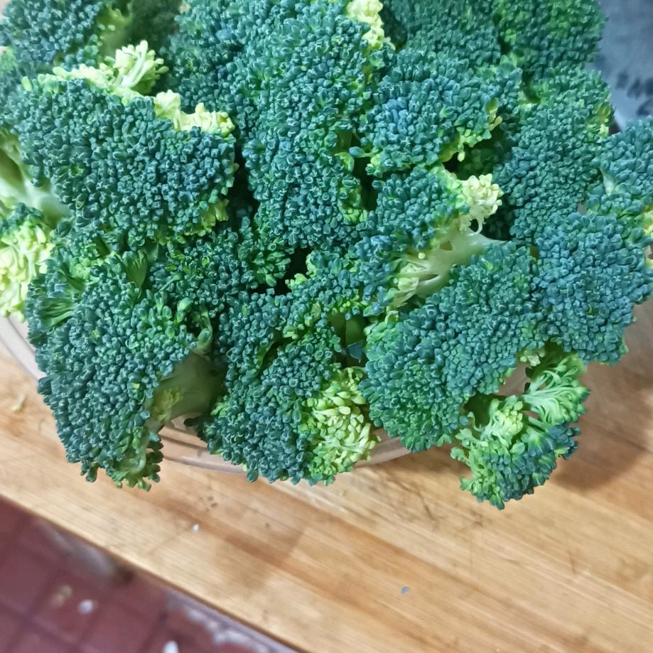 用户420250460129