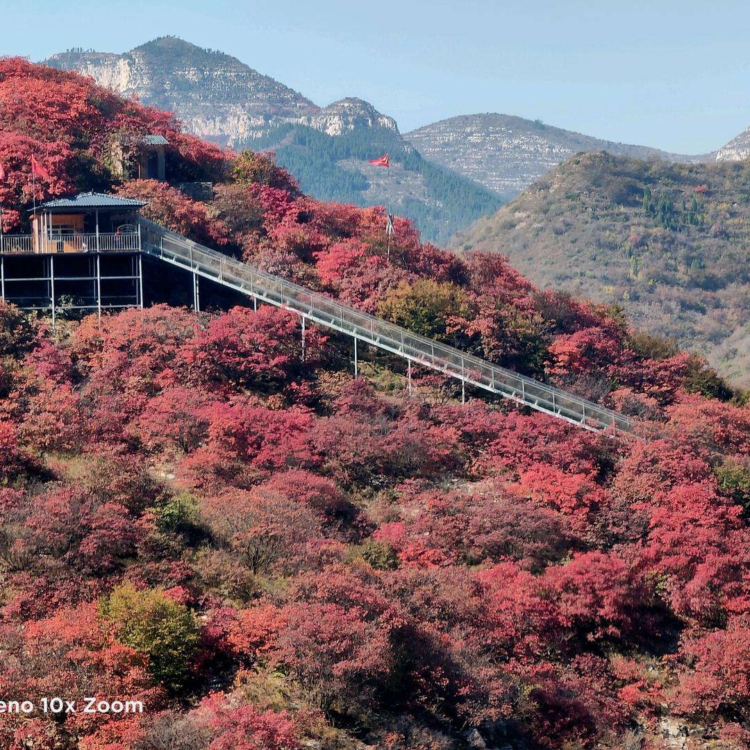 牛山大掌柜