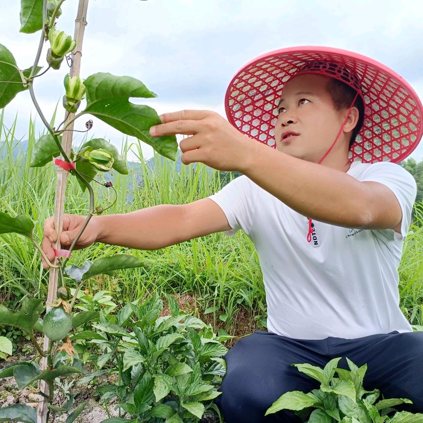 榕江县斌哥果蔬店