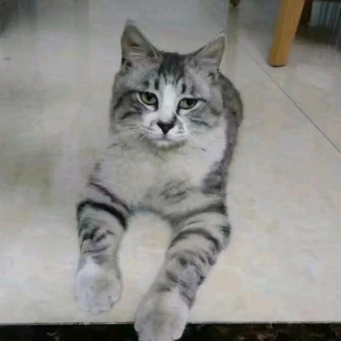 瑞宏(ง •̀_•́)ง加油加油