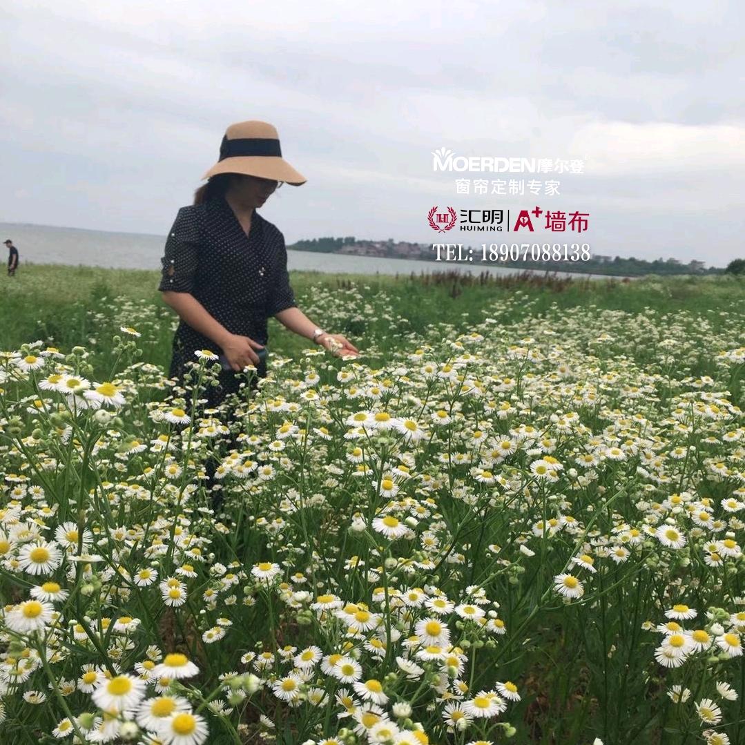 进贤摩尔登窗帘黄姐