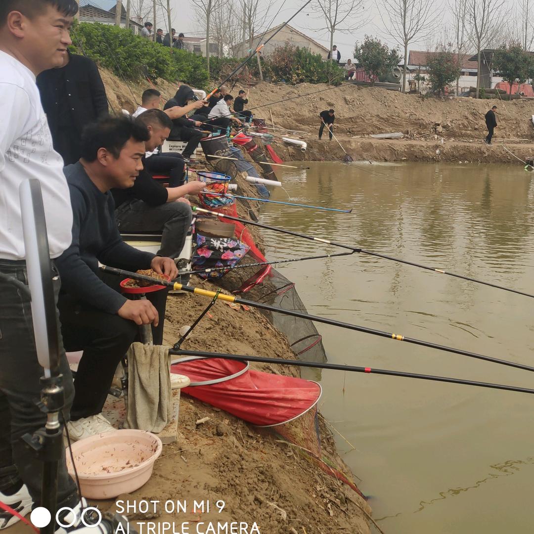 球球活鸡活鱼大虾