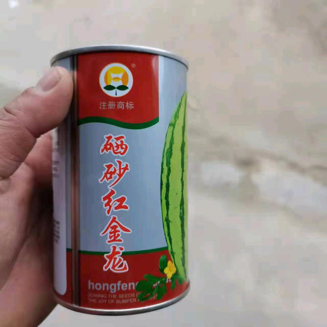 凡凡，哈密西瓜