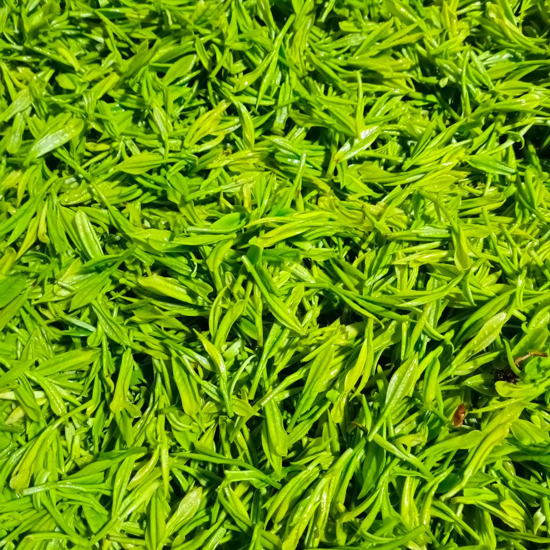 皖南春茶行