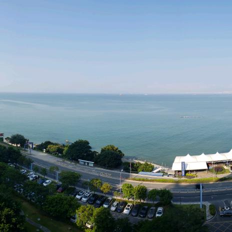 💵  💴 💶 💷 ！ ！