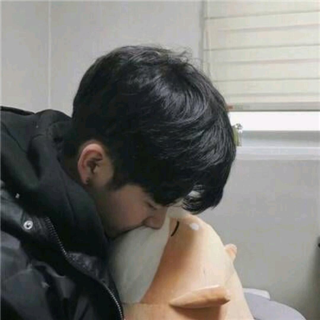 红驴绿鲤