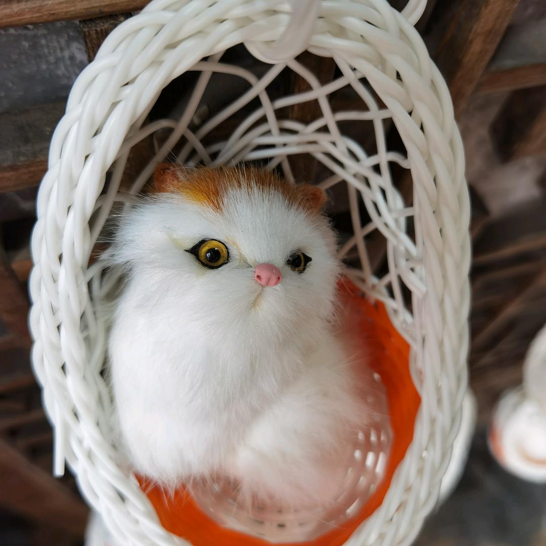 ☞浮生༺皆是梦☞